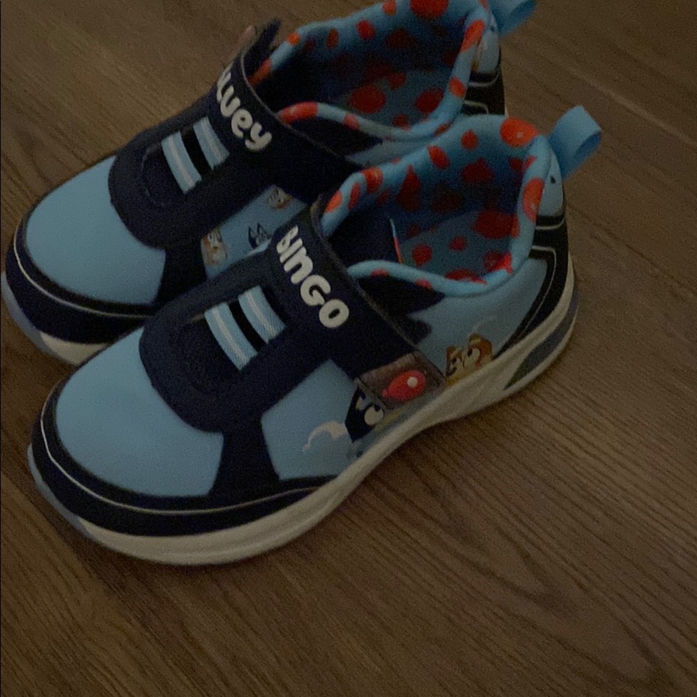 Kids Shoes - Blue and Navy